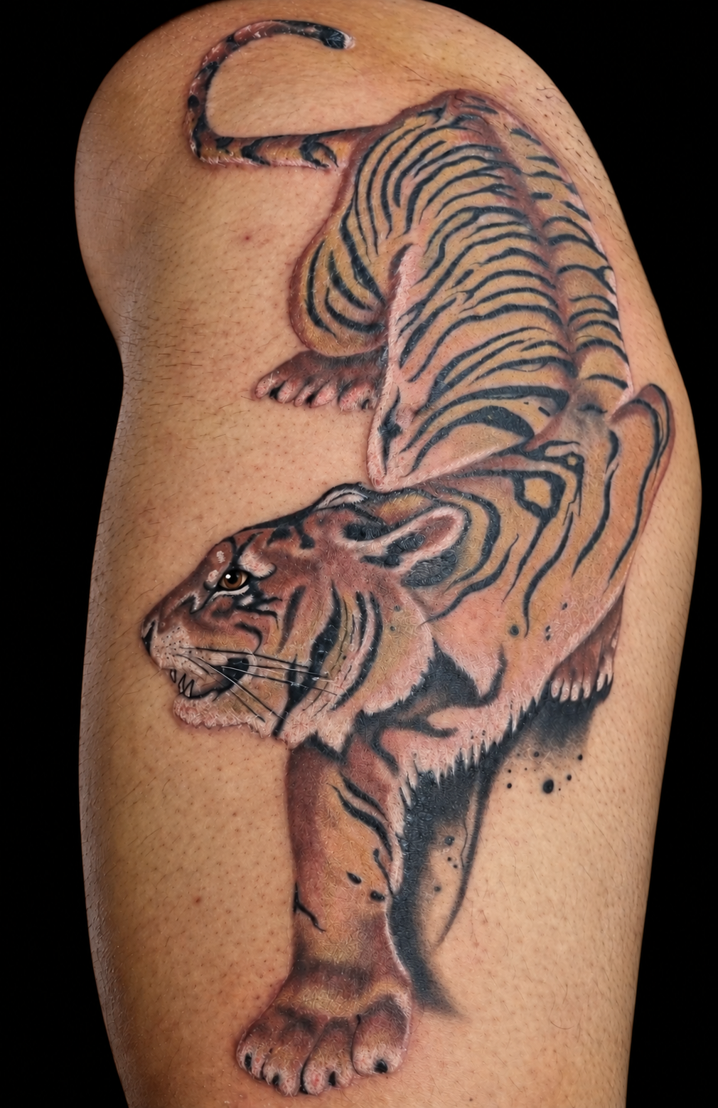 Tiger-Tattoo auf Schulter und Oberarm in Farbe, japanischer Stil
